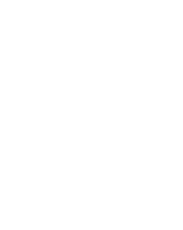 Fusion Point Electric