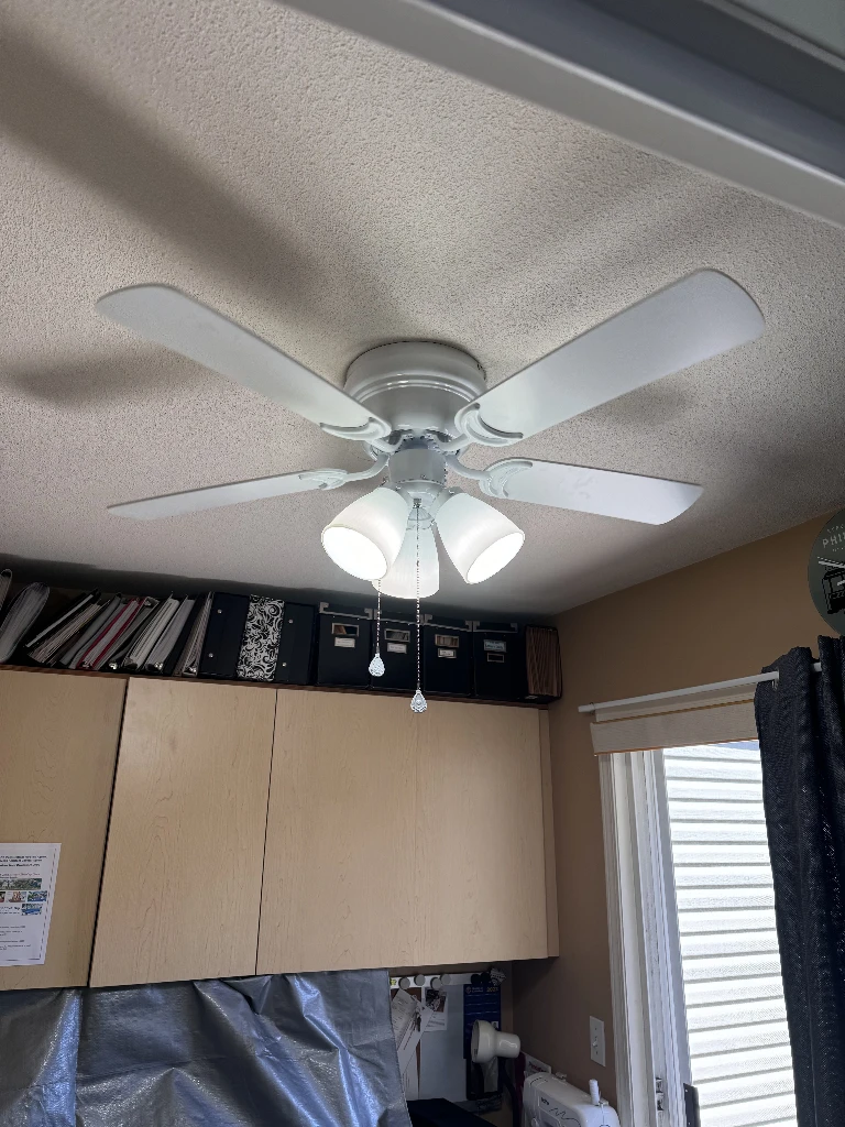Ceiling fan